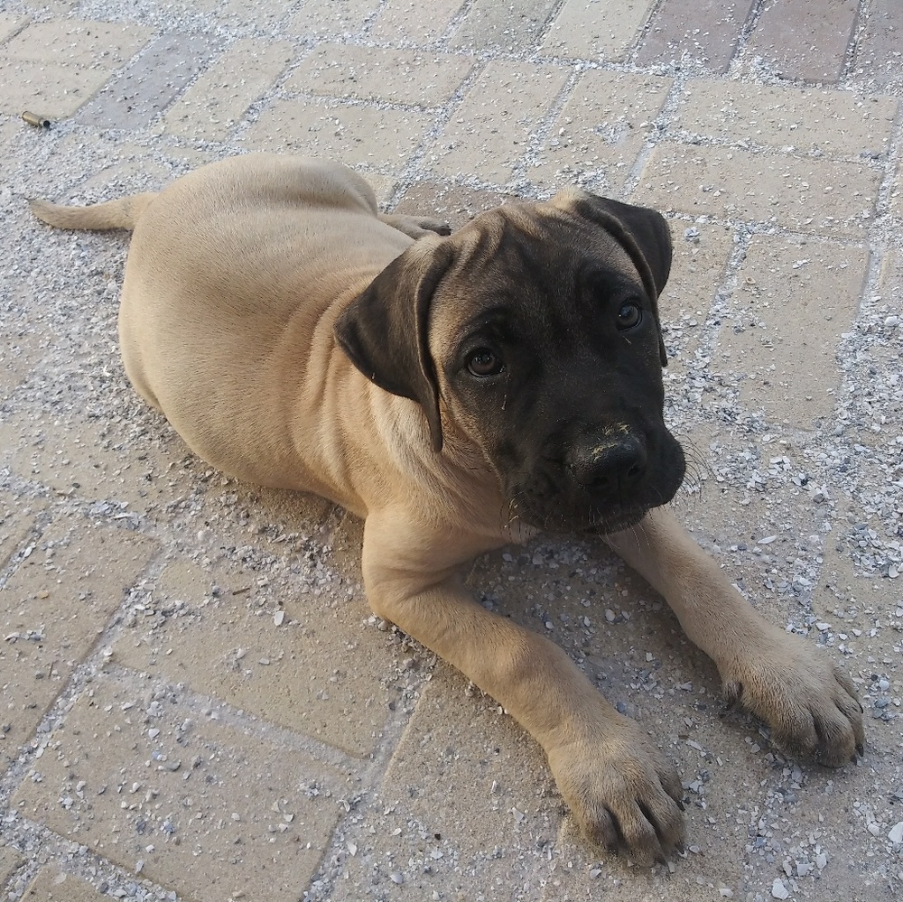Meet your Posher, Marka
